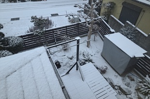 今年2回目の雪