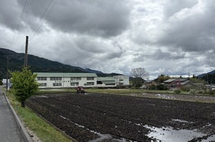 春の風景