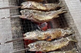 夏休み