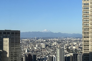 2025年