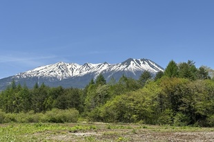 近場で散歩③