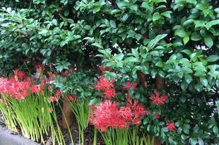 　睡眠不足は良くない