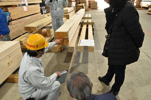 施主木材確認・地盤調査