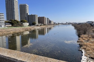 宝塚大橋から