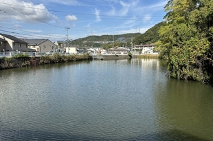 池のほとりでの仕事