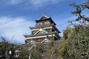 知恵は続くよどこまでも