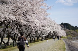 春のたのしみ