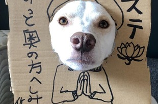 ナマステ！