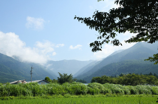 GWの営業につきまして