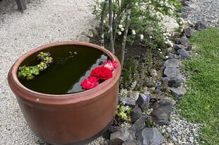 庭いじり