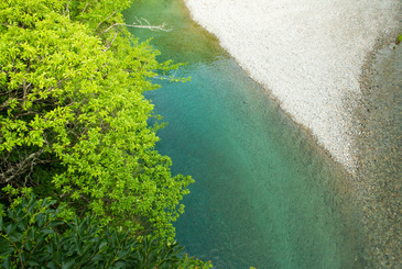 付知川流域まるごと博物館