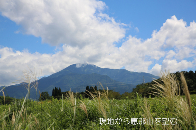 丸岩の杜